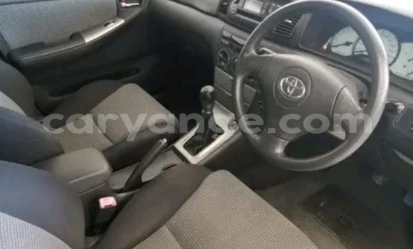 Buy Used Toyota Runx Black Car in Gobabis in Omaheke Buy Used Toyota Runx Black Car in Gobabis in Omaheke