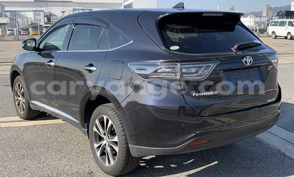 Buy Used Toyota Harrier Black Car in Windhoek in Namibia Buy Used Toyota Harrier Black Car in Windhoek in Namibia