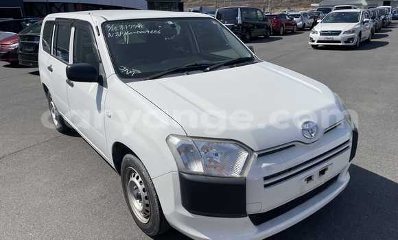 Buy Used Toyota Probox White Car in Windhoek in Namibia