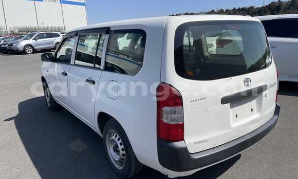 Buy Used Toyota Probox White Car in Windhoek in Namibia Buy Used Toyota Probox White Car in Windhoek in Namibia