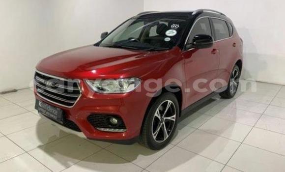 Buy Used Haval H2 Red Car in Windhoek in Namibia