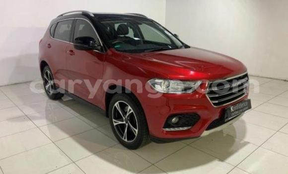 Buy Used Haval H2 Red Car in Windhoek in Namibia Buy Used Haval H2 Red Car in Windhoek in Namibia