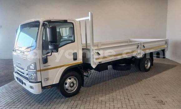 Buy Used Isuzu FTR 850 White Truck in Windhoek in Namibia Buy Used Isuzu FTR 850 White Truck in Windhoek in Namibia