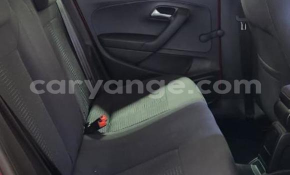 Buy Used Volkswagen Polo Red Car in Windhoek in Namibia Buy Used Volkswagen Polo Red Car in Windhoek in Namibia
