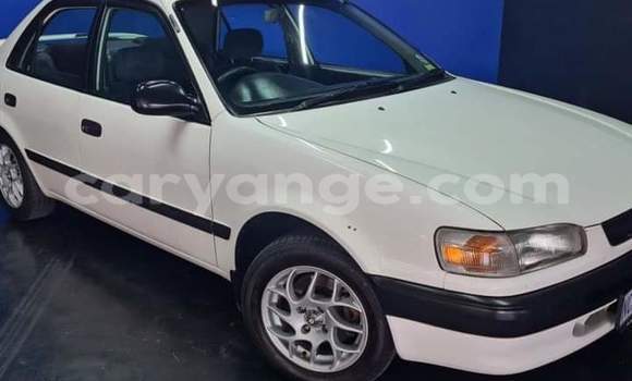 Buy Used Toyota Corolla White Car in Windhoek in Namibia