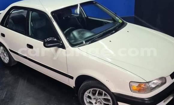 Buy Used Toyota Corolla White Car in Windhoek in Namibia Buy Used Toyota Corolla White Car in Windhoek in Namibia