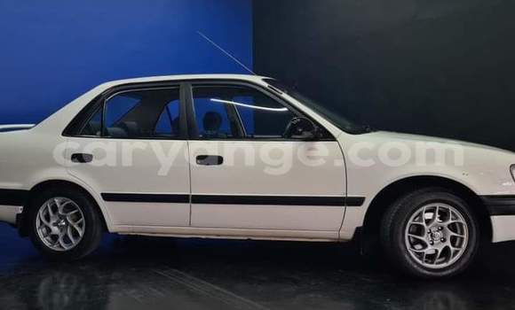 Buy Used Toyota Corolla White Car in Windhoek in Namibia Buy Used Toyota Corolla White Car in Windhoek in Namibia