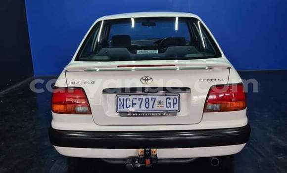 Buy Used Toyota Corolla White Car in Windhoek in Namibia Buy Used Toyota Corolla White Car in Windhoek in Namibia