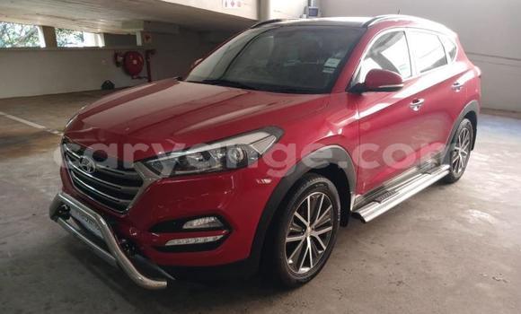 Buy Used Hyundai Tucson Red Car in Windhoek in Namibia