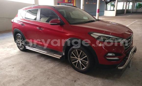 Buy Used Hyundai Tucson Red Car in Windhoek in Namibia Buy Used Hyundai Tucson Red Car in Windhoek in Namibia
