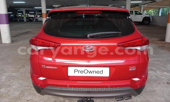 Buy Used Hyundai Tucson Red Car in Windhoek in Namibia Buy Used Hyundai Tucson Red Car in Windhoek in Namibia