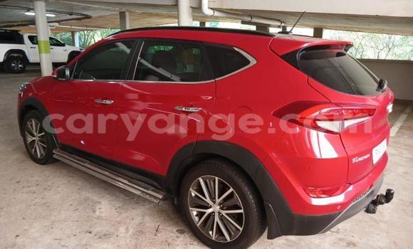 Buy Used Hyundai Tucson Red Car in Windhoek in Namibia Buy Used Hyundai Tucson Red Car in Windhoek in Namibia