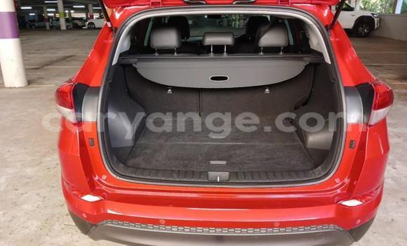 Buy Used Hyundai Tucson Red Car in Windhoek in Namibia Buy Used Hyundai Tucson Red Car in Windhoek in Namibia