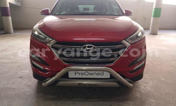 Buy Used Hyundai Tucson Red Car in Windhoek in Namibia Buy Used Hyundai Tucson Red Car in Windhoek in Namibia
