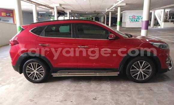 Buy Used Hyundai Tucson Red Car in Windhoek in Namibia Buy Used Hyundai Tucson Red Car in Windhoek in Namibia