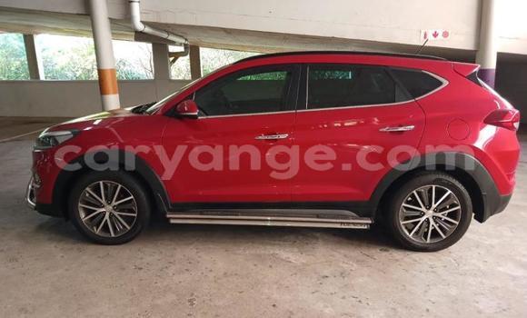 Buy Used Hyundai Tucson Red Car in Windhoek in Namibia Buy Used Hyundai Tucson Red Car in Windhoek in Namibia