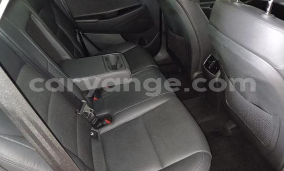 Buy Used Hyundai Tucson Red Car in Windhoek in Namibia Buy Used Hyundai Tucson Red Car in Windhoek in Namibia