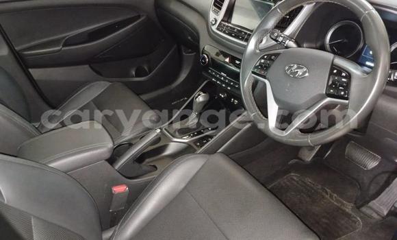 Buy Used Hyundai Tucson Red Car in Windhoek in Namibia Buy Used Hyundai Tucson Red Car in Windhoek in Namibia