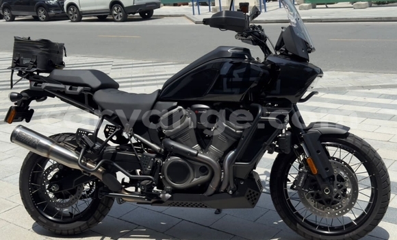 Buy Used Harley Davidson S Black Bike in Windhoek in Namibia