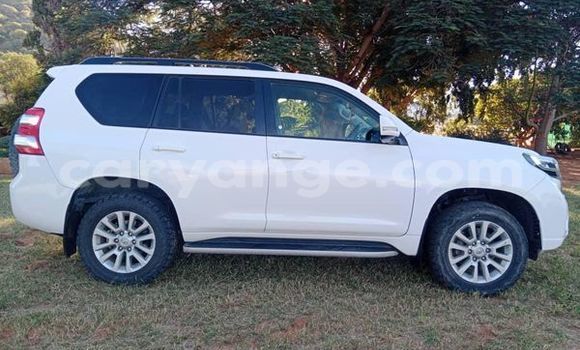Buy Used Toyota Prado Other Car in Windhoek in Namibia
