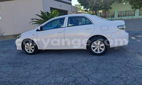 Buy Used Toyota Corolla Other Car in Windhoek in Namibia