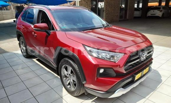 Acheter Occasion Voiture Toyota RAV4 Rouge à Gobabis, Omaheke