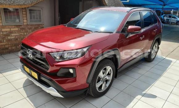 Buy Used Toyota RAV4 Red Car in Gobabis in Omaheke Buy Used Toyota RAV4 Red Car in Gobabis in Omaheke