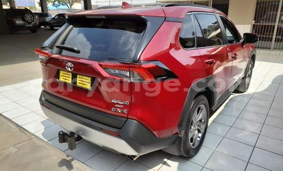 Buy Used Toyota RAV4 Red Car in Gobabis in Omaheke Buy Used Toyota RAV4 Red Car in Gobabis in Omaheke