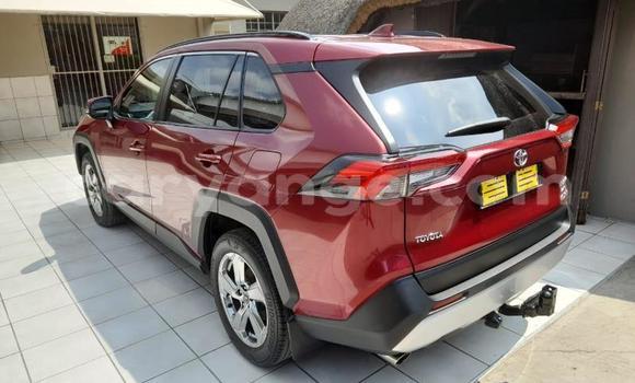 Buy Used Toyota RAV4 Red Car in Gobabis in Omaheke Buy Used Toyota RAV4 Red Car in Gobabis in Omaheke