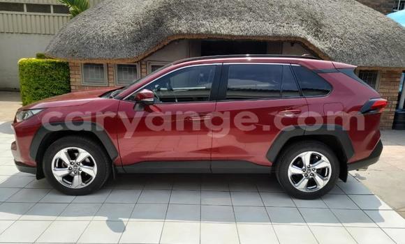Buy Used Toyota RAV4 Red Car in Gobabis in Omaheke Buy Used Toyota RAV4 Red Car in Gobabis in Omaheke