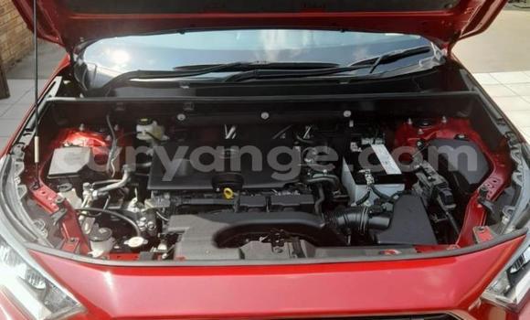 Buy Used Toyota RAV4 Red Car in Gobabis in Omaheke Buy Used Toyota RAV4 Red Car in Gobabis in Omaheke