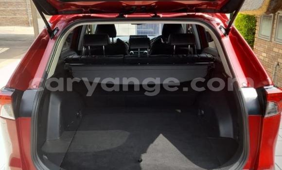 Buy Used Toyota RAV4 Red Car in Gobabis in Omaheke Buy Used Toyota RAV4 Red Car in Gobabis in Omaheke
