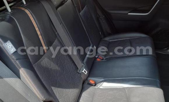 Buy Used Toyota RAV4 Red Car in Gobabis in Omaheke Buy Used Toyota RAV4 Red Car in Gobabis in Omaheke