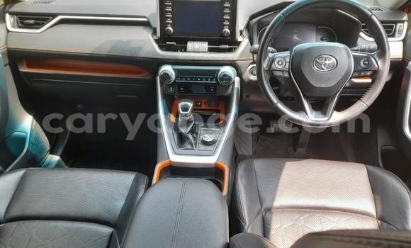 Buy Used Toyota RAV4 Red Car in Gobabis in Omaheke Buy Used Toyota RAV4 Red Car in Gobabis in Omaheke