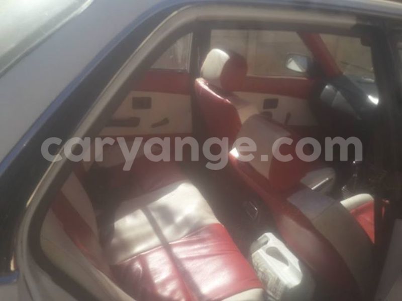 Big with watermark 13310613 1136844436365854 2275231086442509859 n