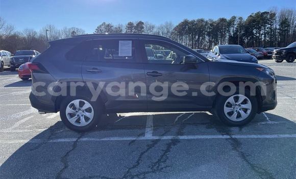 Buy Used Toyota RAV4 Blue Car in Windhoek in Namibia Buy Used Toyota RAV4 Blue Car in Windhoek in Namibia