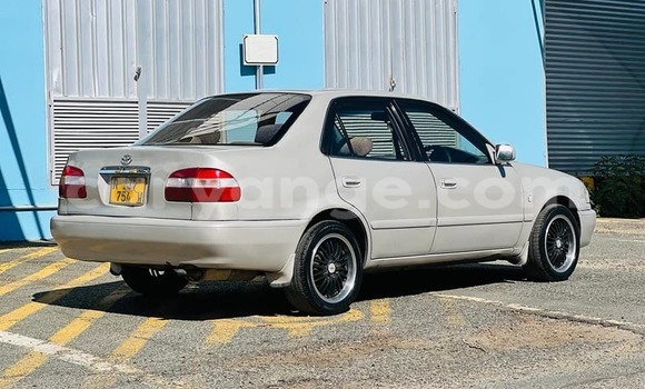 Buy Used Toyota Corolla White Car in Grootfontein in Namibia Buy Used Toyota Corolla White Car in Grootfontein in Namibia