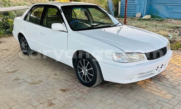 Buy Used Toyota Corolla White Car in Grootfontein in Namibia Buy Used Toyota Corolla White Car in Grootfontein in Namibia