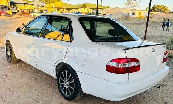 Buy Used Toyota Corolla White Car in Grootfontein in Namibia Buy Used Toyota Corolla White Car in Grootfontein in Namibia