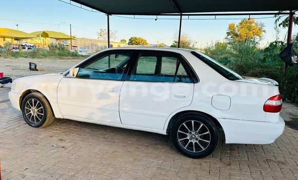 Buy Used Toyota Corolla White Car in Grootfontein in Namibia Buy Used Toyota Corolla White Car in Grootfontein in Namibia