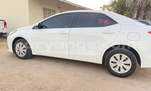 Buy Used Toyota Corolla White Car in Oshakati in Namibia Buy Used Toyota Corolla White Car in Oshakati in Namibia
