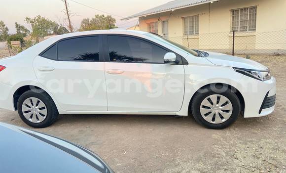 Buy Used Toyota Corolla White Car in Oshakati in Namibia Buy Used Toyota Corolla White Car in Oshakati in Namibia
