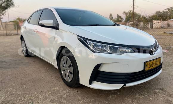 Buy Used Toyota Corolla White Car in Oshakati in Namibia Buy Used Toyota Corolla White Car in Oshakati in Namibia