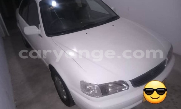 Buy Used Toyota Corolla White Car in Import - Dubai in Namibia