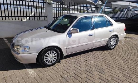 Buy Used Toyota Corolla Other Car in Windhoek in Namibia