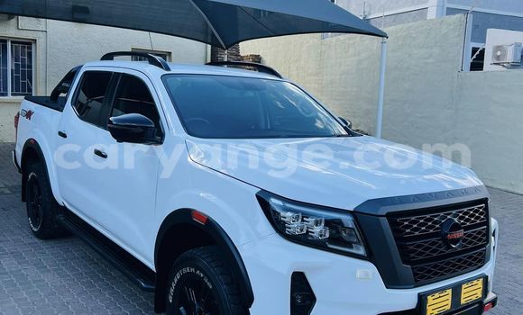Buy Used Nissan Navara White Car in Windhoek in Namibia