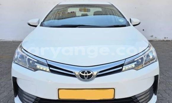 Buy Used Toyota Corolla Other Car in Aranos in Hardap