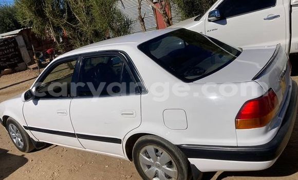 Buy Used Alfa Romeo 145 Other Car in Aranos in Hardap