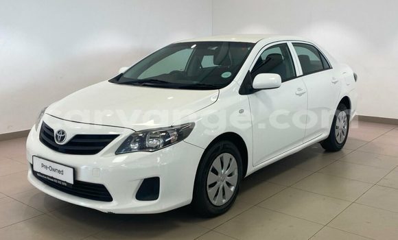 Buy Used Toyota Corolla White Car in Grootfontein in Namibia
