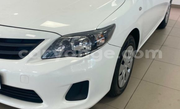 Buy Used Toyota Corolla White Car in Grootfontein in Namibia Buy Used Toyota Corolla White Car in Grootfontein in Namibia